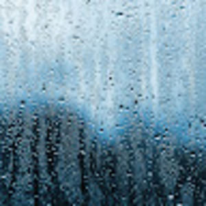 Meet your Posher, Sidney